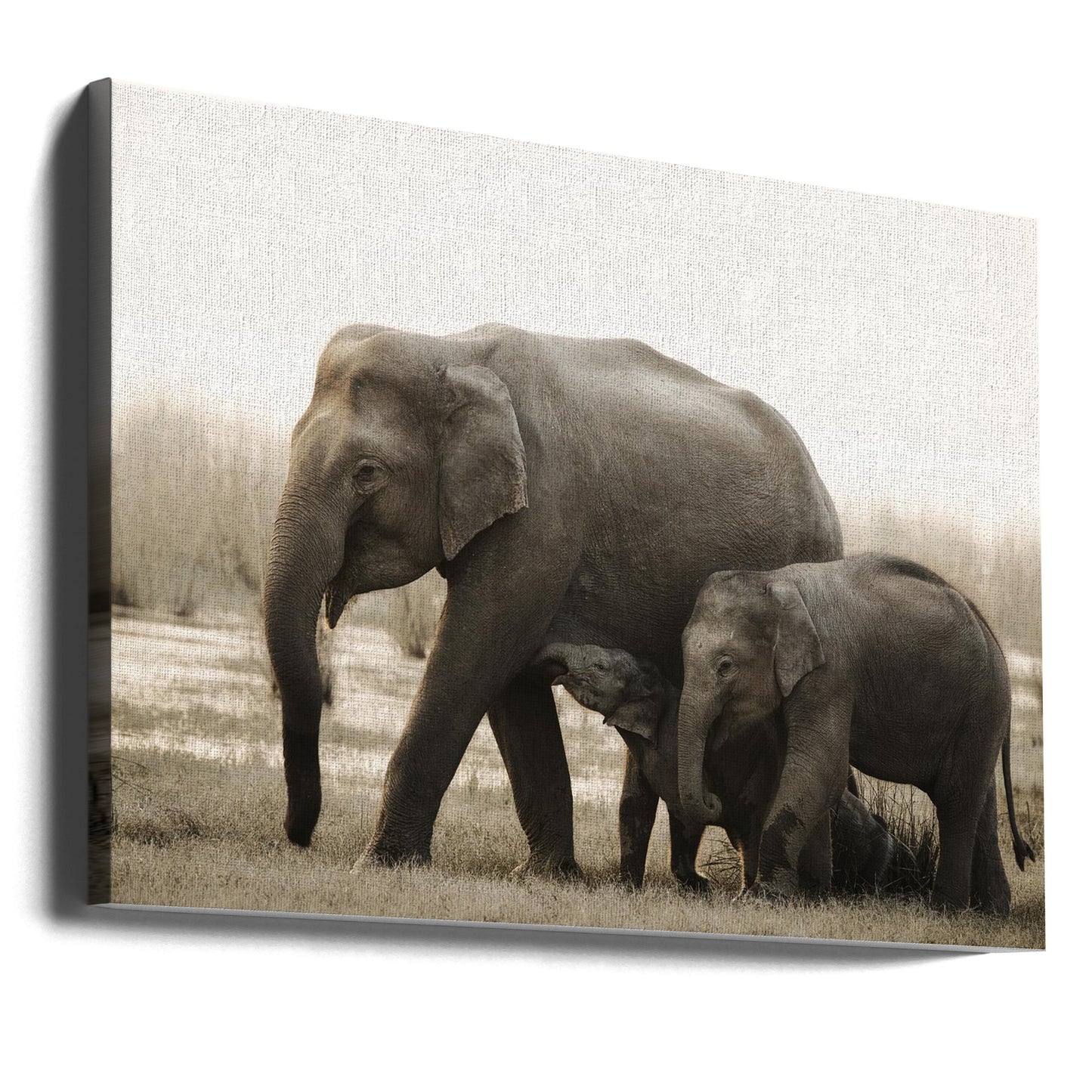familjeporträtt | Canvas