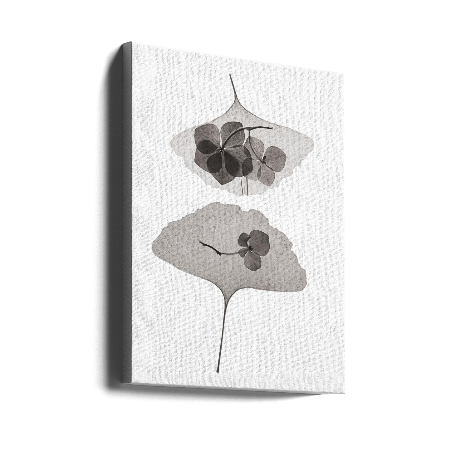 Botanisk #35 | Lærredsbilleder