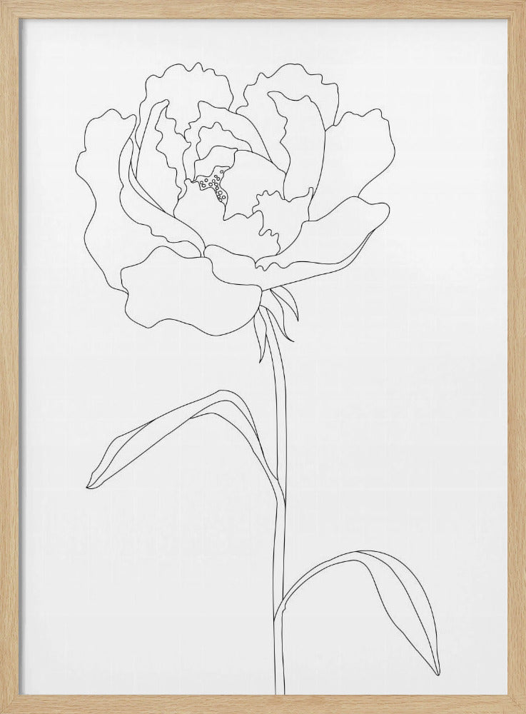 Pionlinjer | Poster
