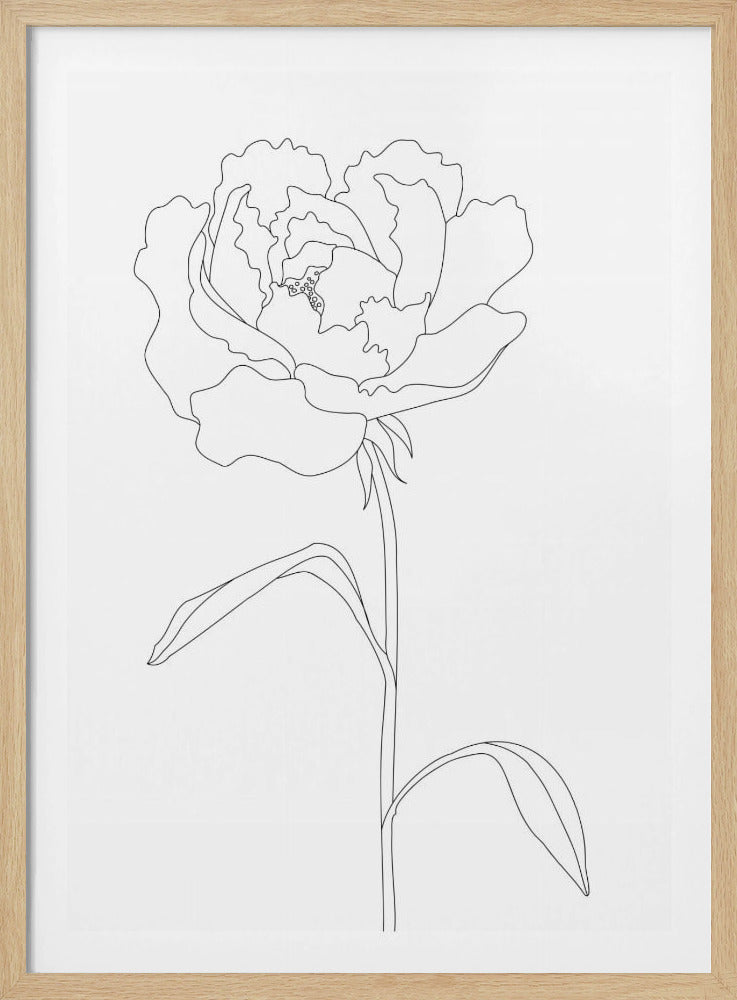 Pionlinjer | Poster