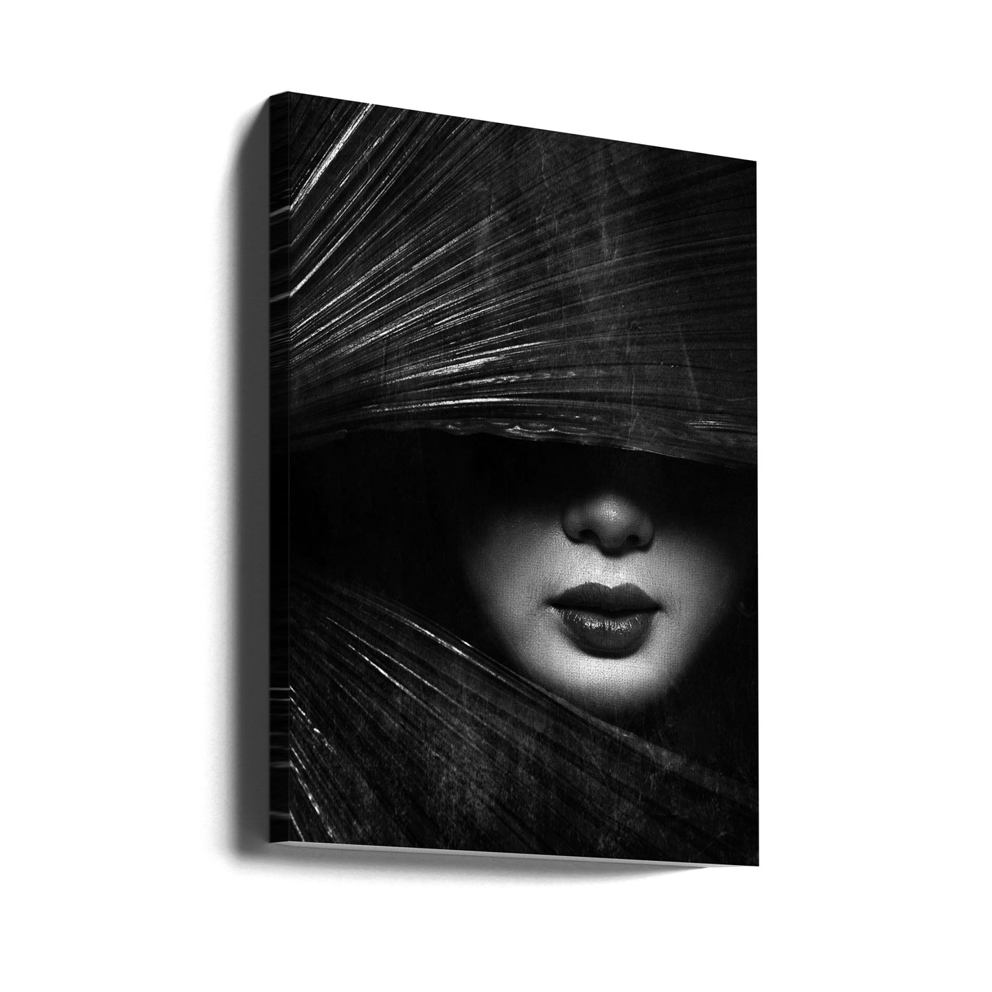 Untitled | Canvas
