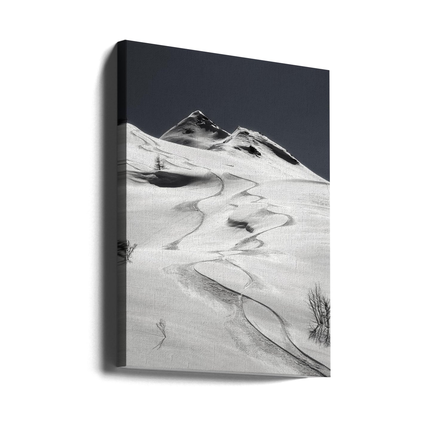 snålskjuts | Canvas