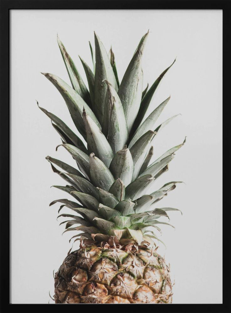 Ananas Naturale | Poster - Stampe d’Arte
