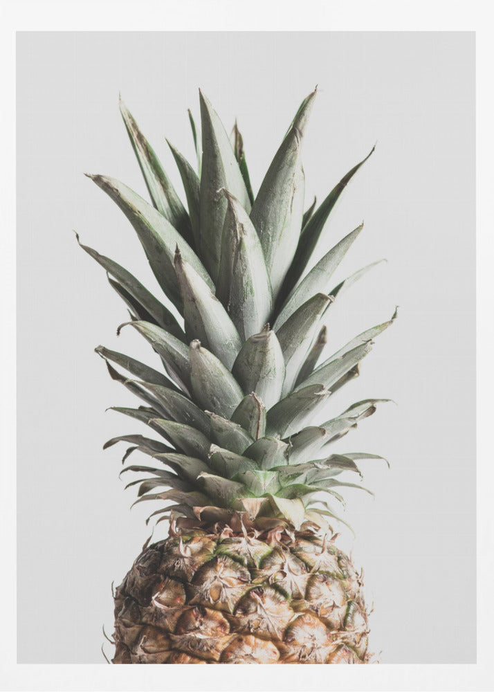 Ananas Naturlig | Poster