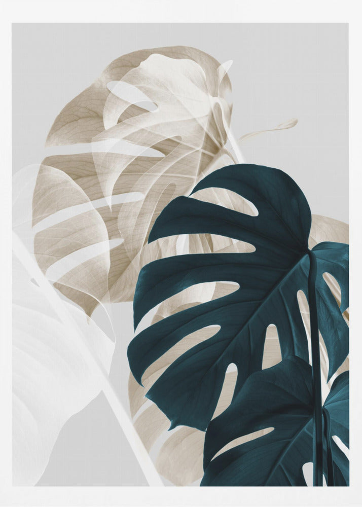 Monstera Creative 05 | Poster