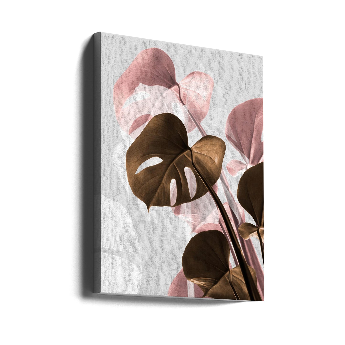 Monstera Creative 11 | Canvas