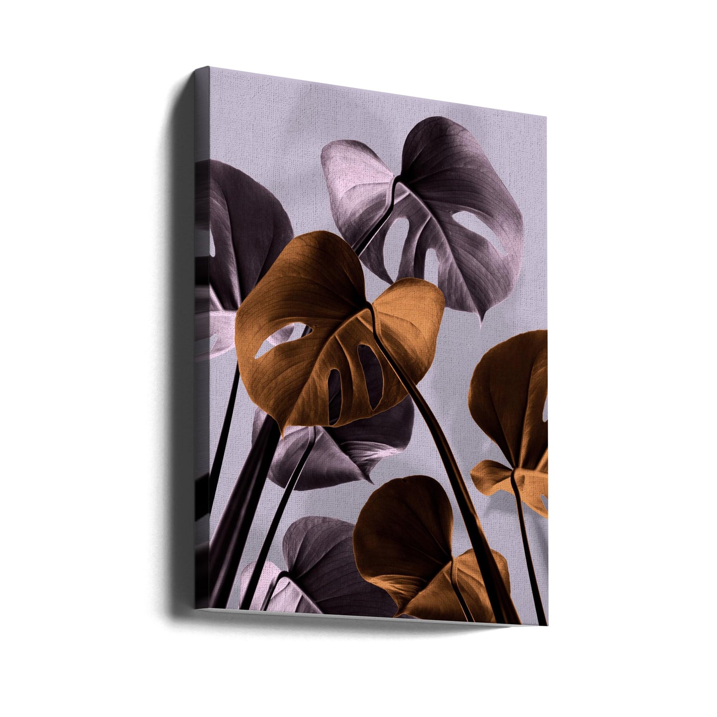 Monstera Lila 01 | Canvas