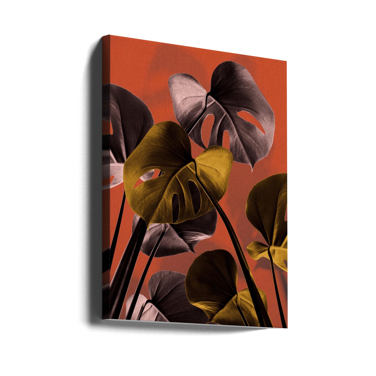 Monstera Orange 01 | Canvastavla