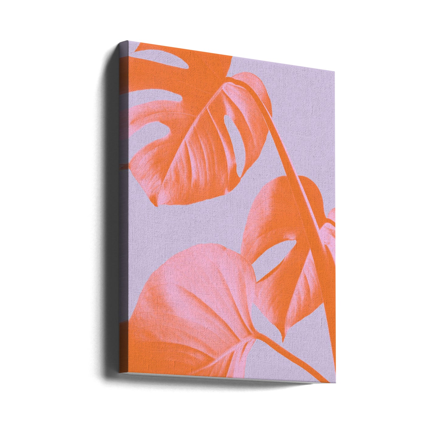 Monstera Lila 03 | Canvas