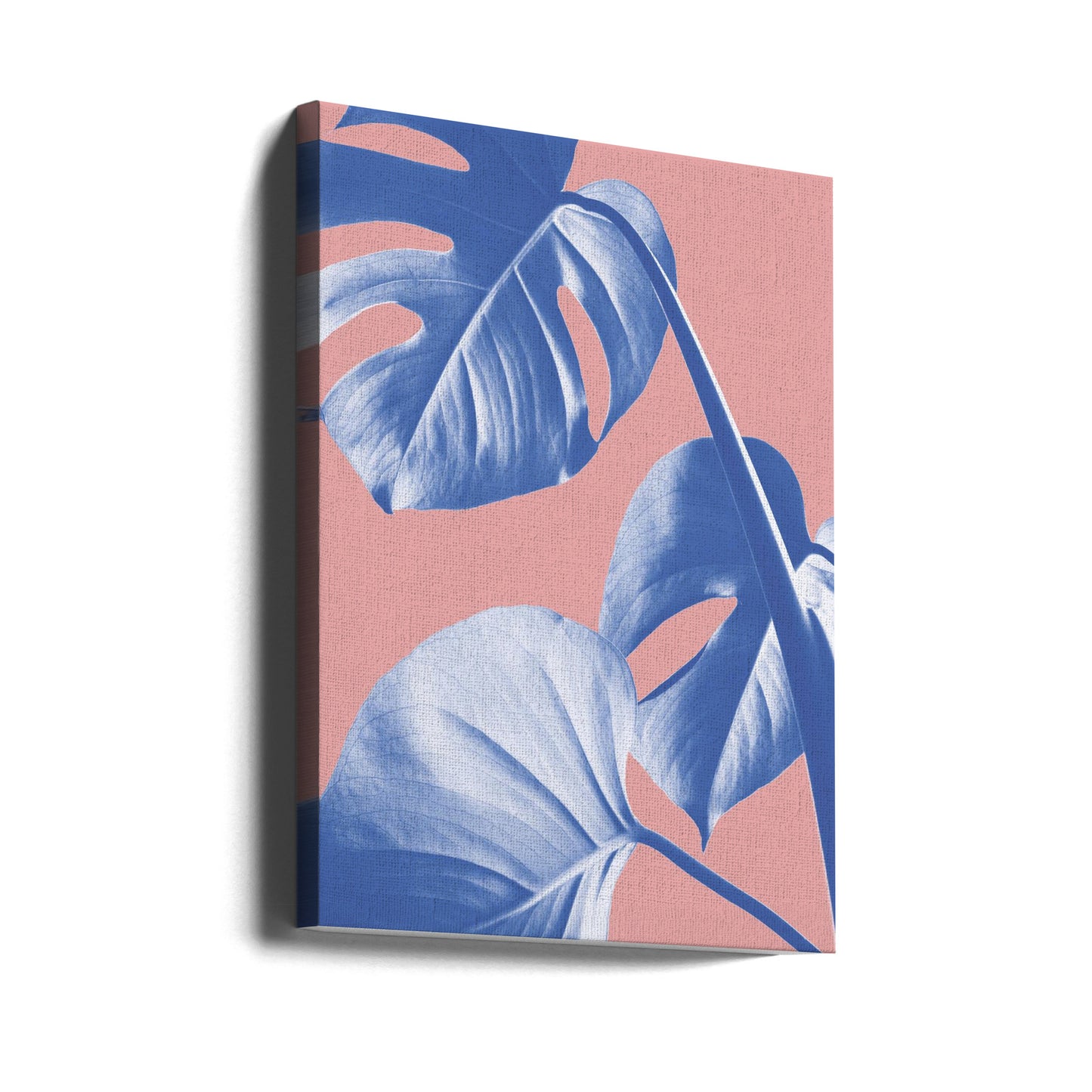 Monstera Lila 05 | Canvas