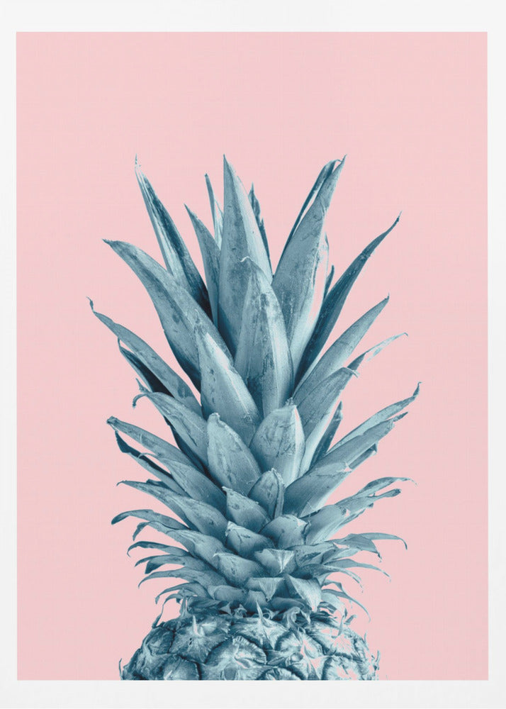 Ananasrosa 06 | Poster