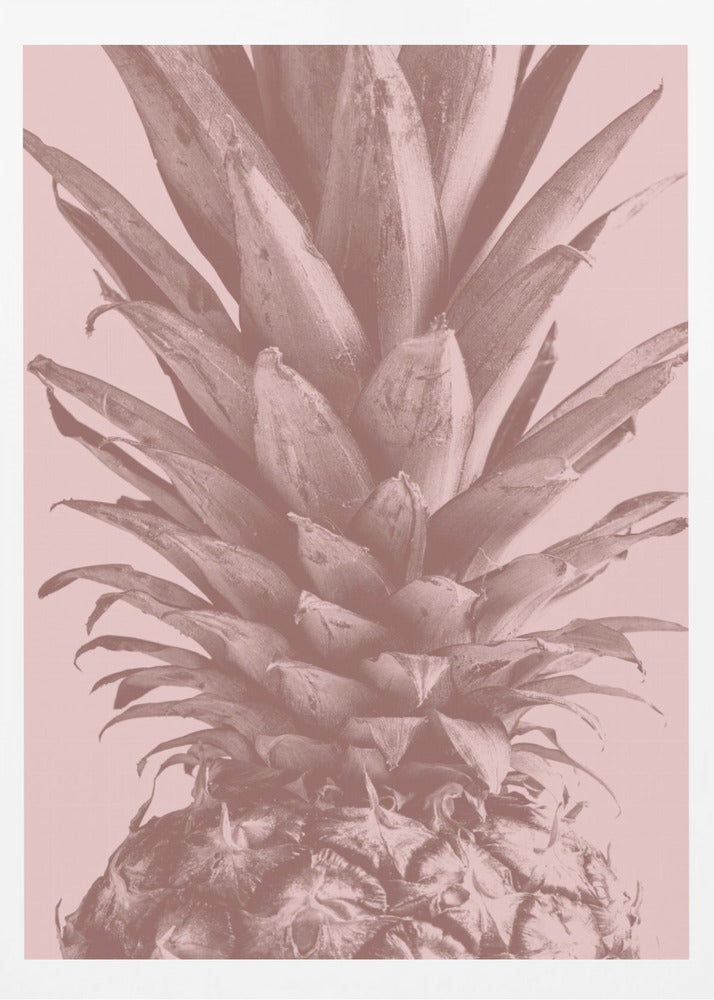 Pineapple Close Up 01 | Poster