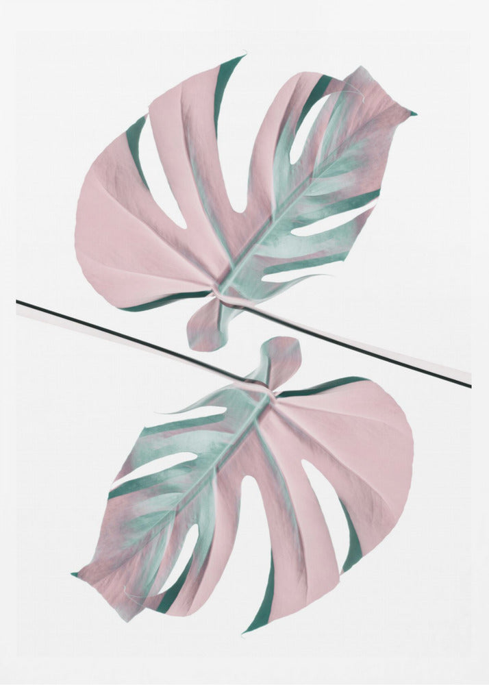 Ying Yang 03 | Poster