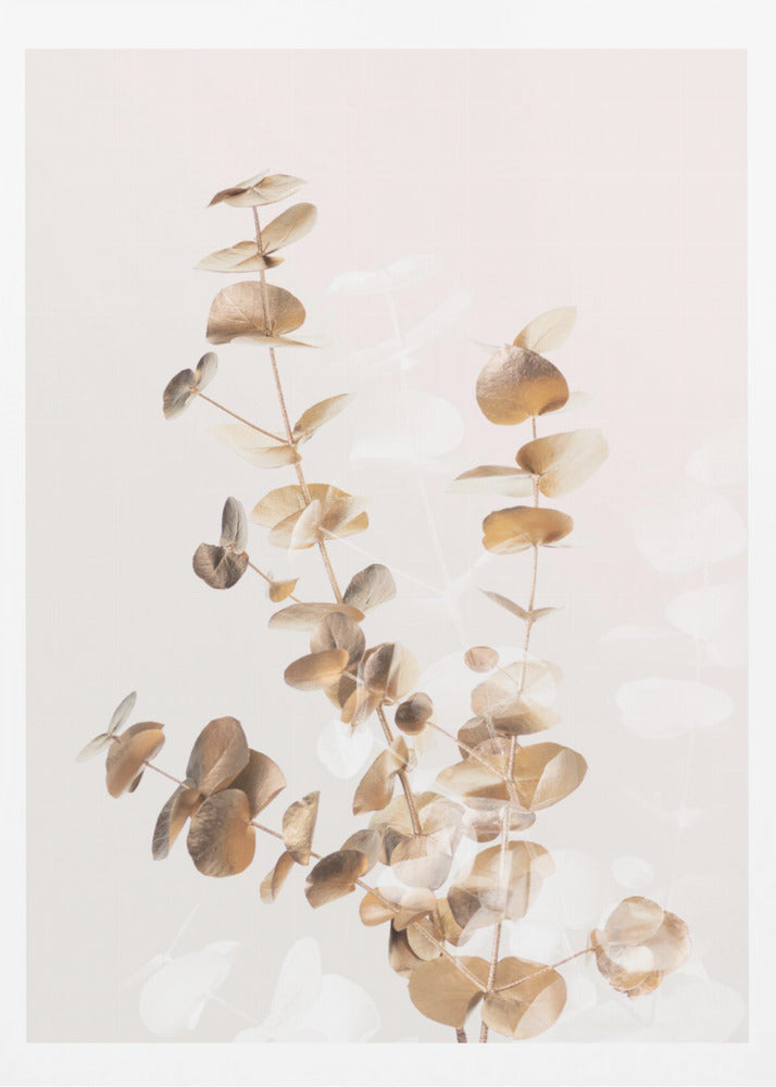Eucalyptus Creative Gold 03 | Poster