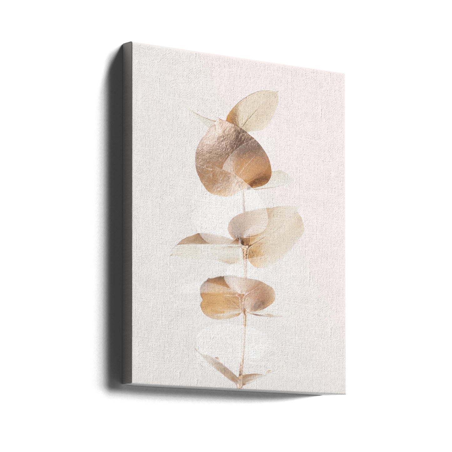 Eucalipto Creative Gold 04 | Stampe su Tela