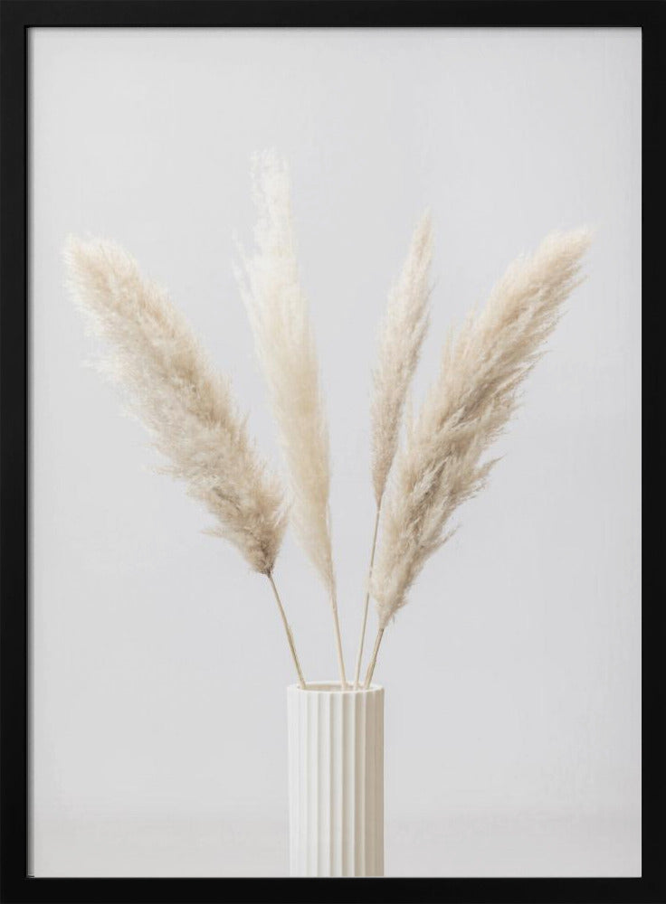 Pampas Grass Grey 09 | Poster