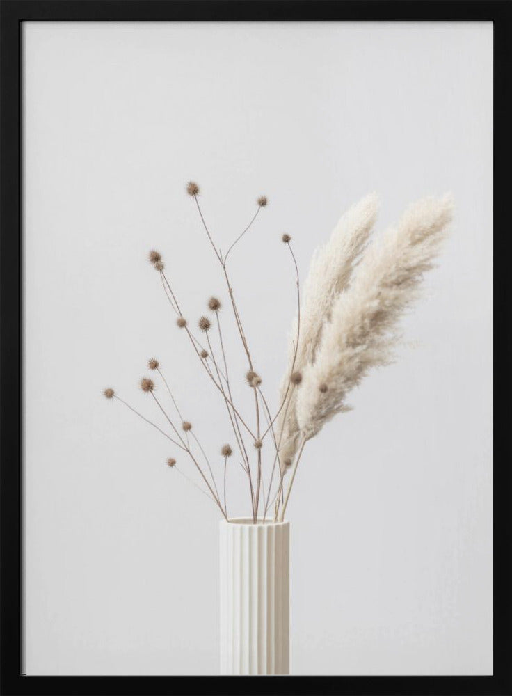 Thistle & Pampas 01 | Poster