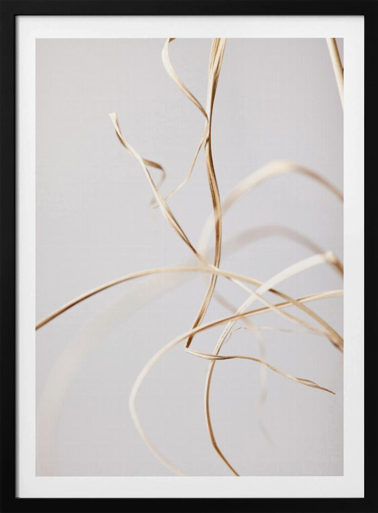 Dried Grass Grey 02 | Poster