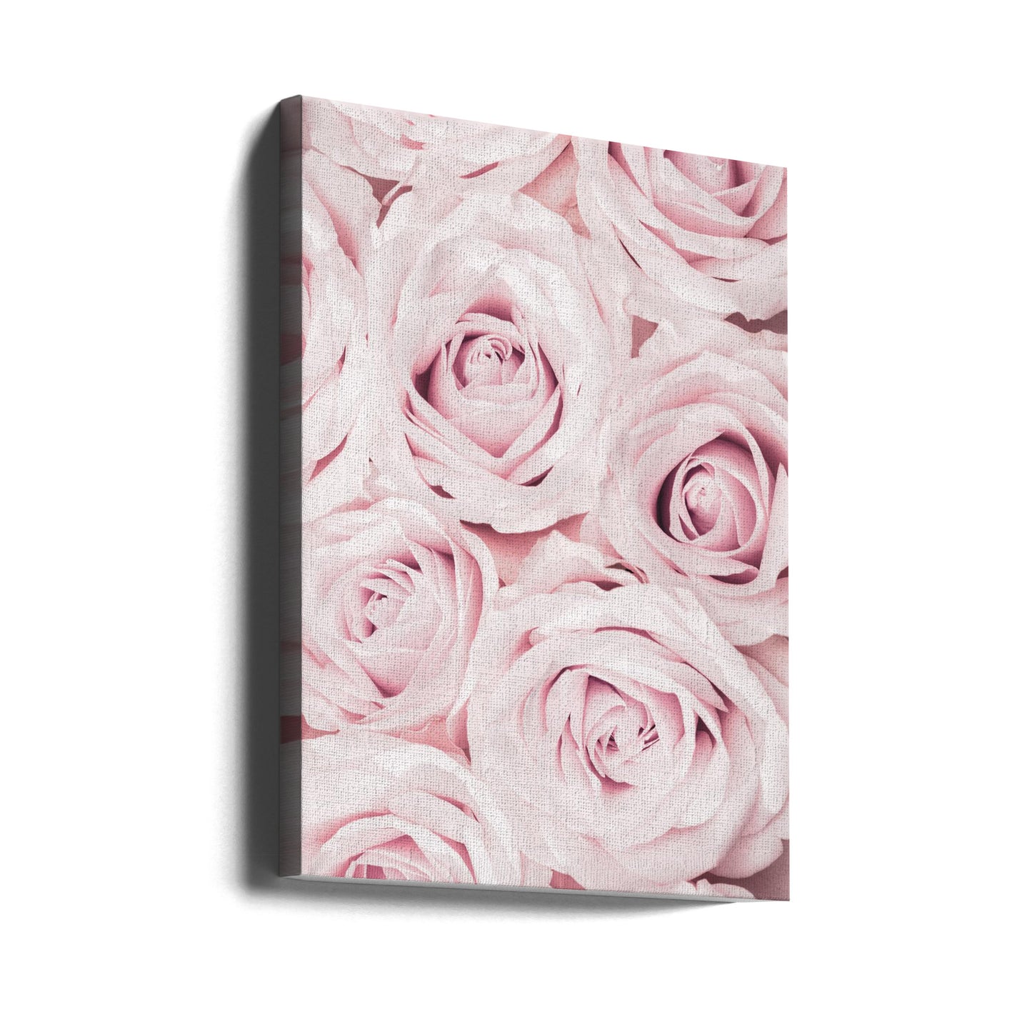 Pink Roses No 02 | Canvas