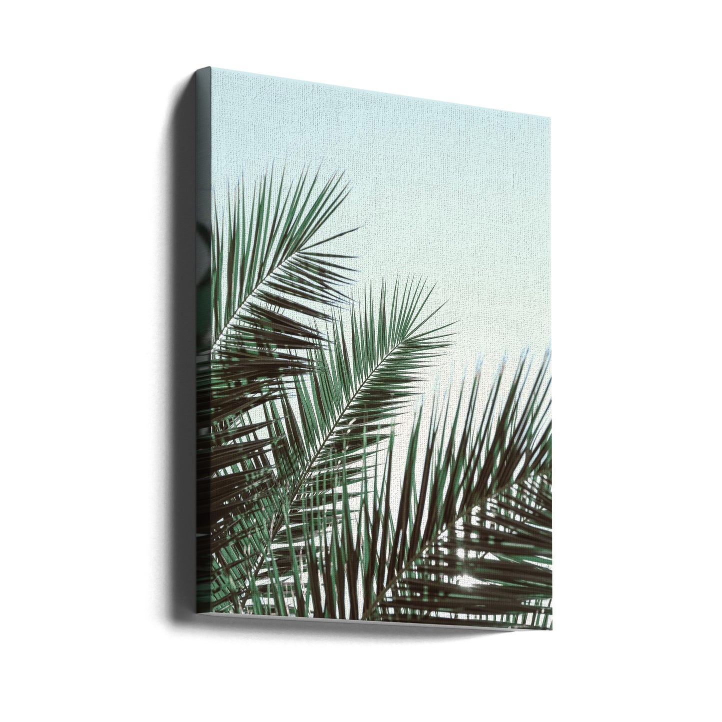 Palm leaves, sky_1 | Canvas