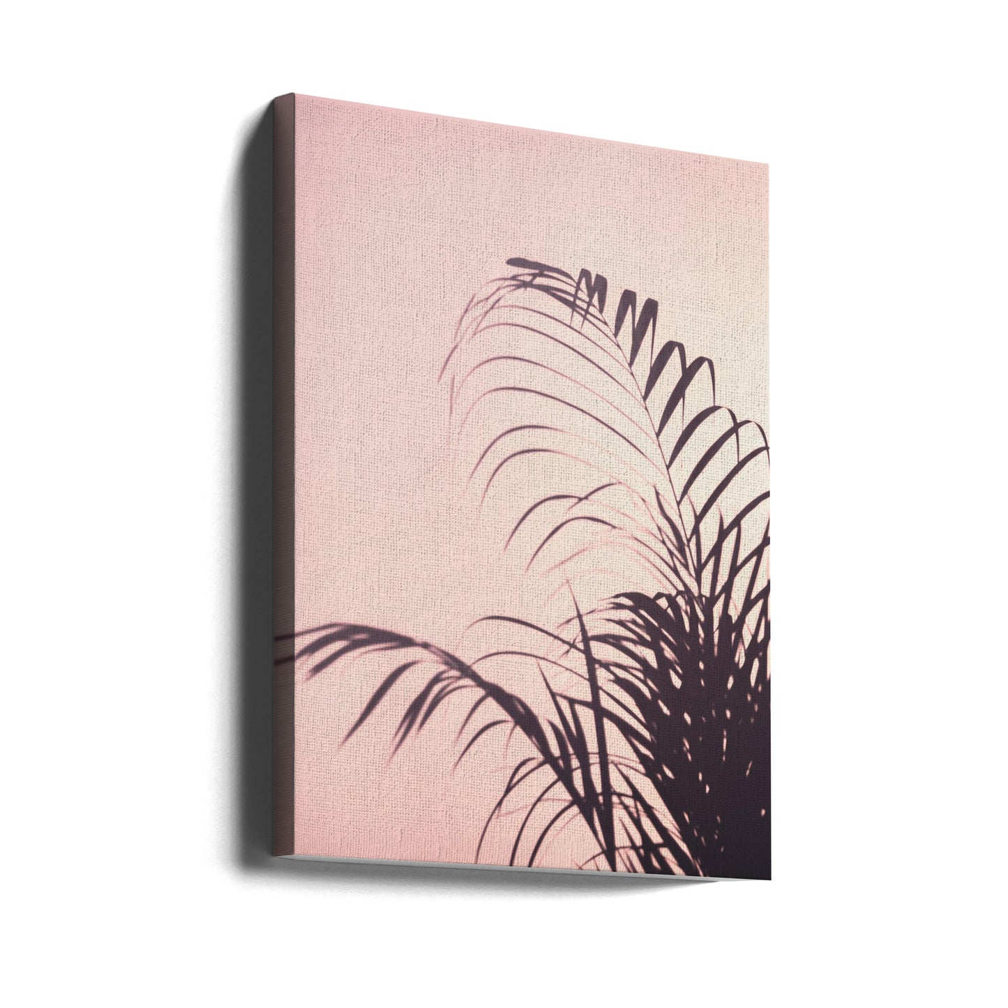 Palm Leaves_1 | Canvas
