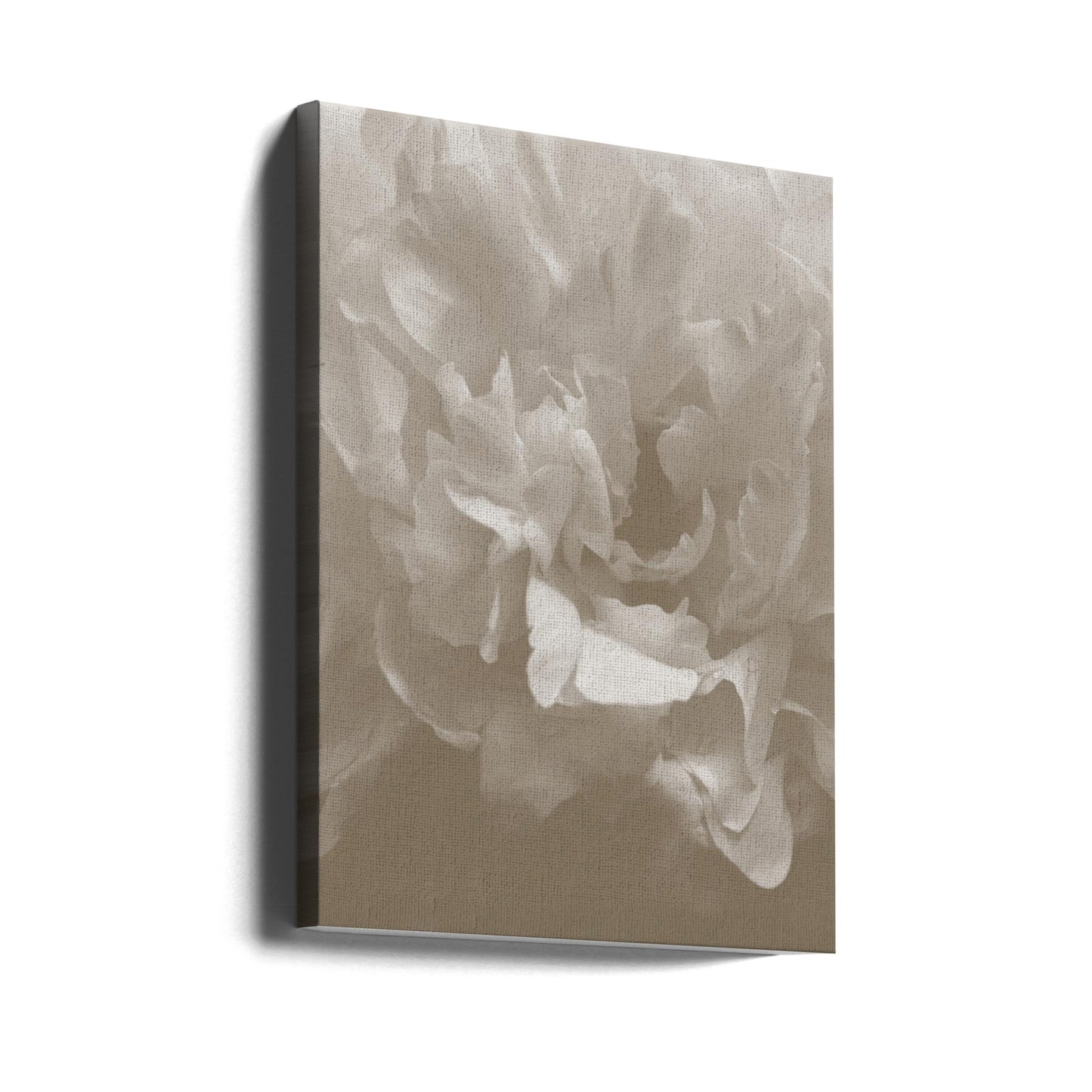 Peony_9 | Canvas