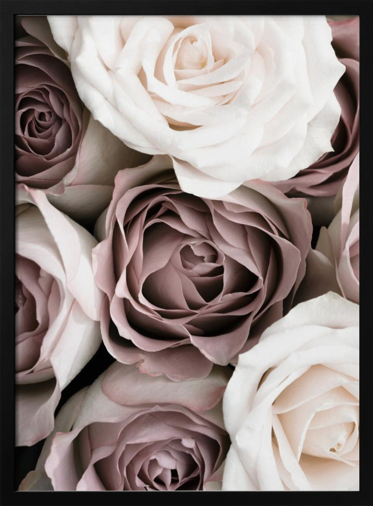 Rosor | Poster