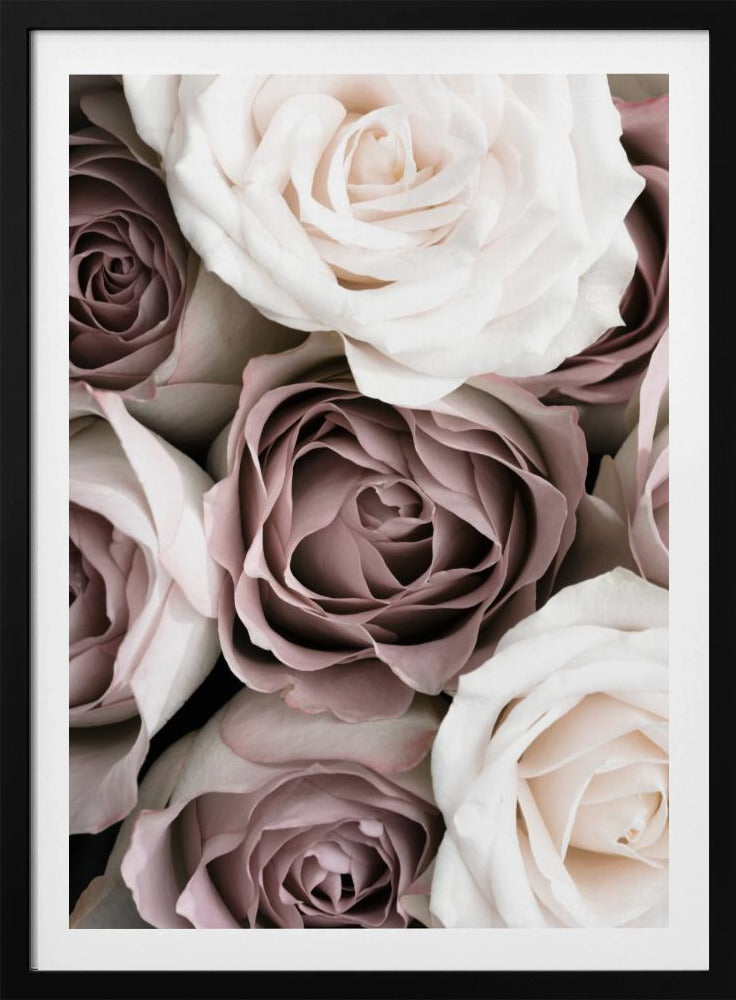 Rosor | Poster