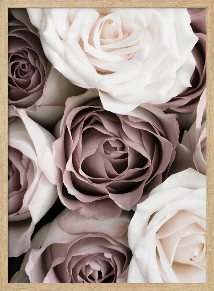 Rosor | Poster