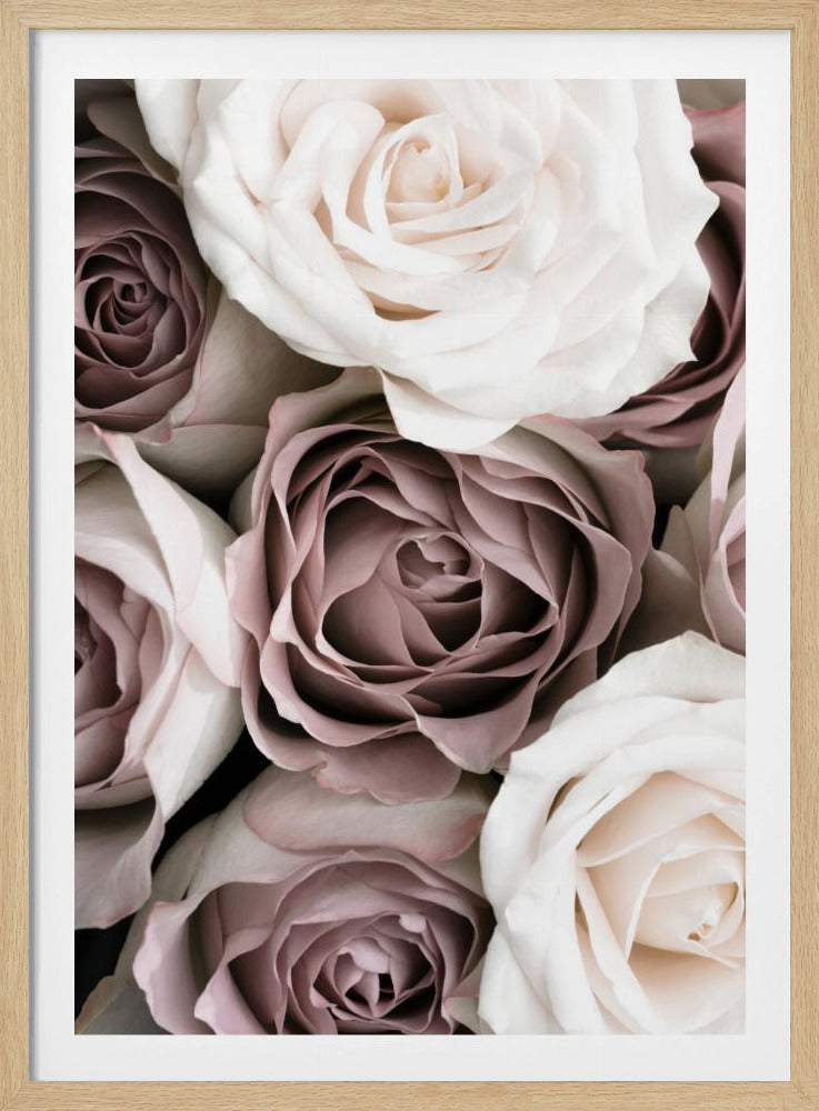 Rosor | Poster