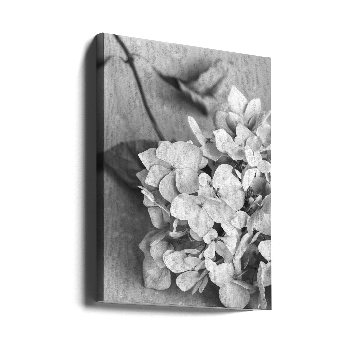 Dried Flowe ron Plate_black & white | Canvas