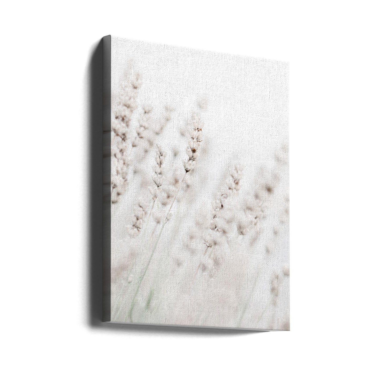 Pailles d'herbe | Tableaux sur Toile