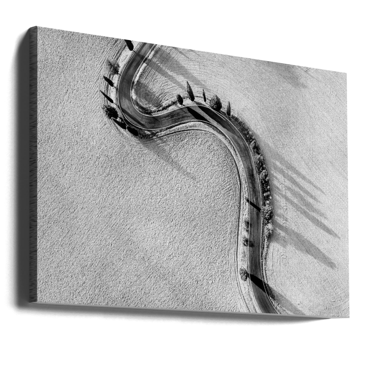 Monticchellio | Canvasduk
