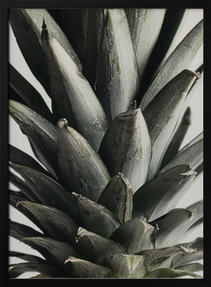 Ananas närbild | Poster