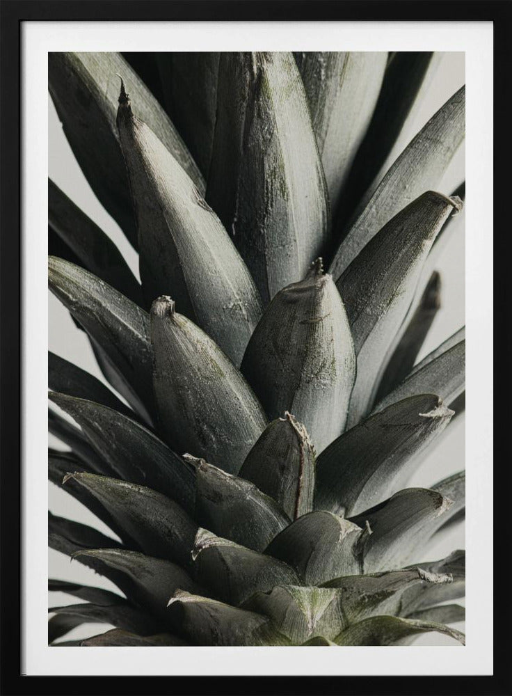 Ananas närbild | Poster