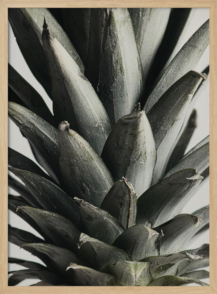 Ananas närbild | Poster