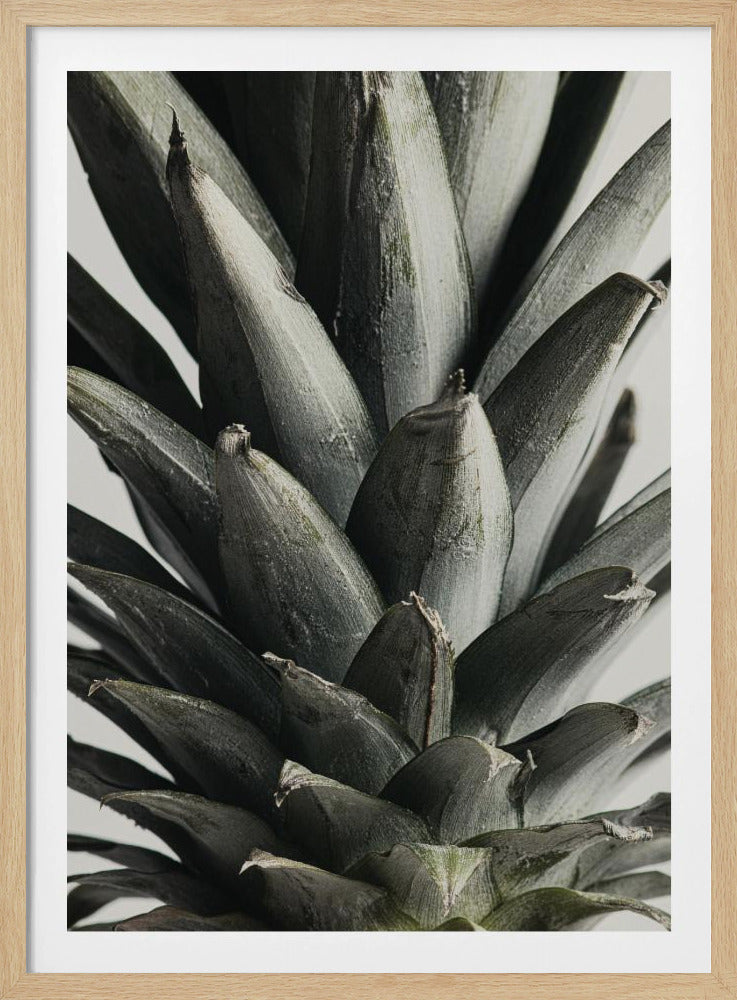 Ananas närbild | Poster