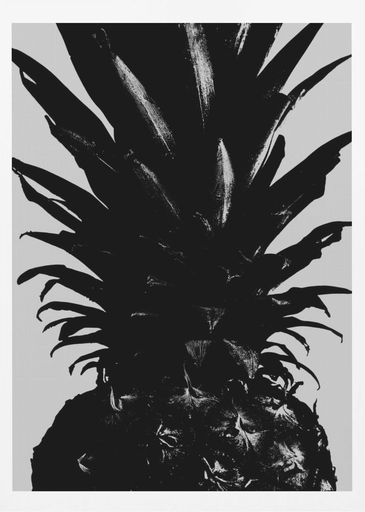 Ananas svartvit | Poster