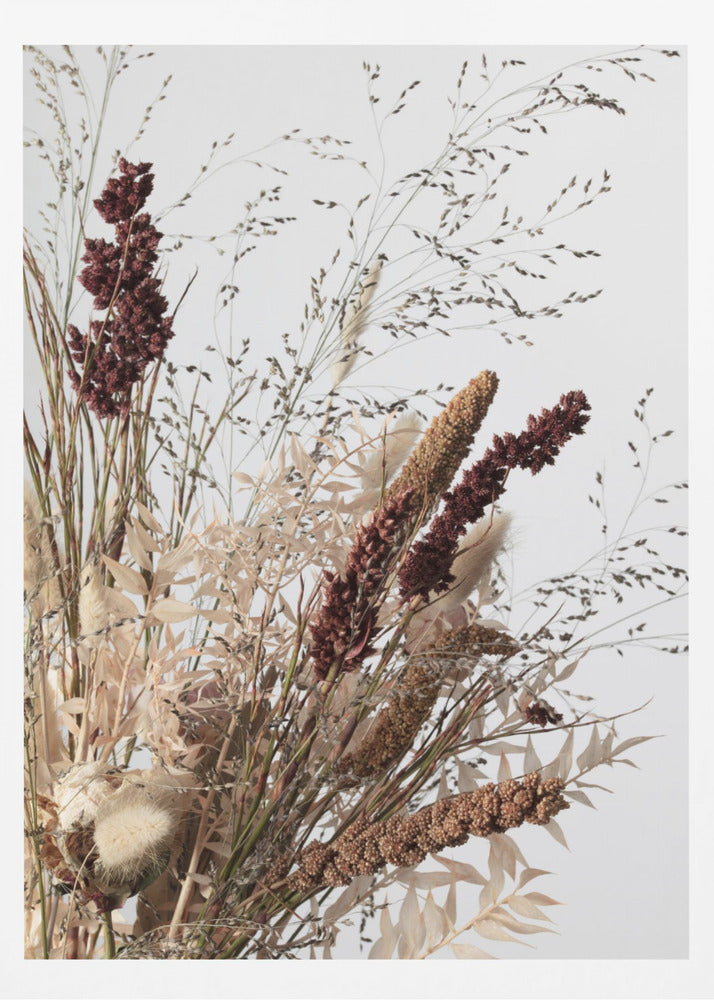 Dried_001 | Poster