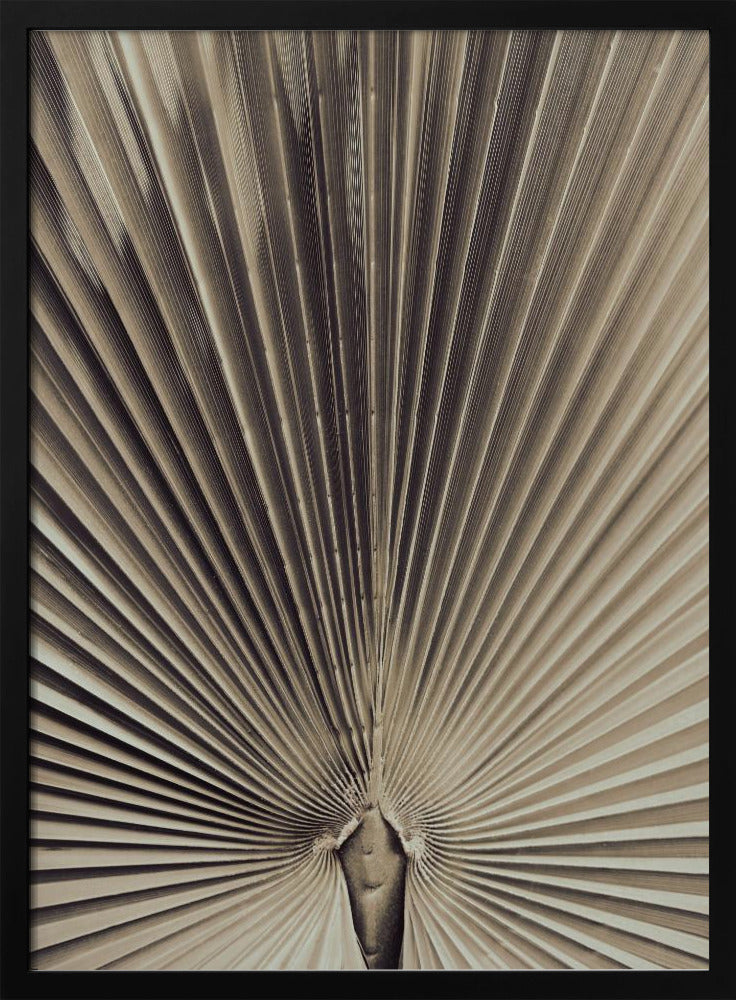 Palmblad_001 | Poster