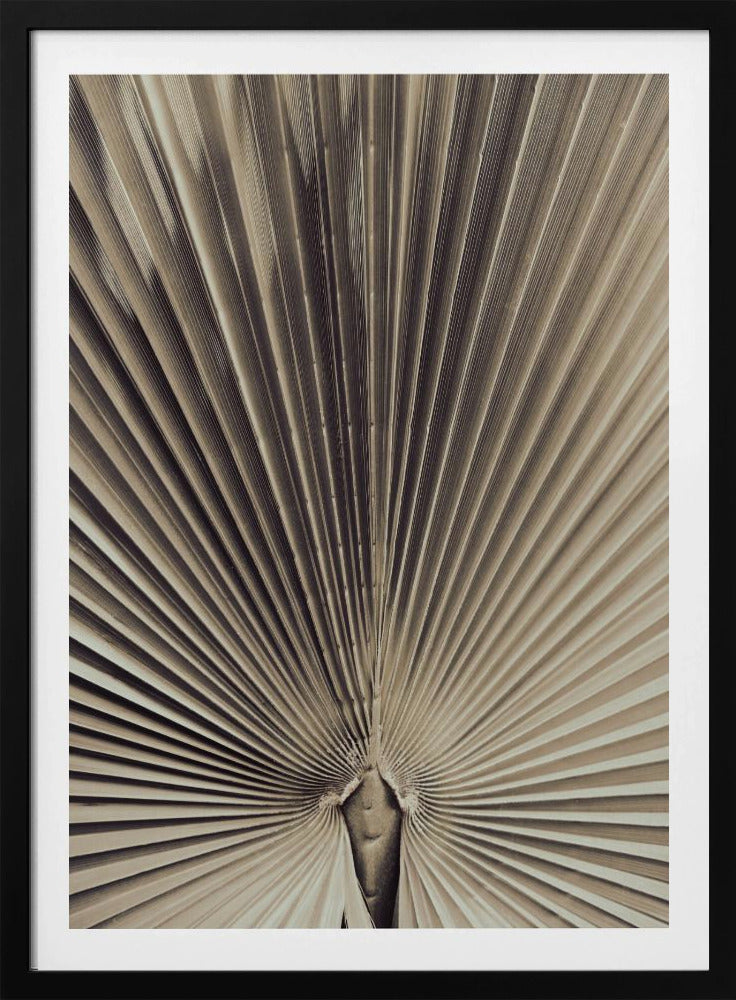 Palmblad_001 | Poster