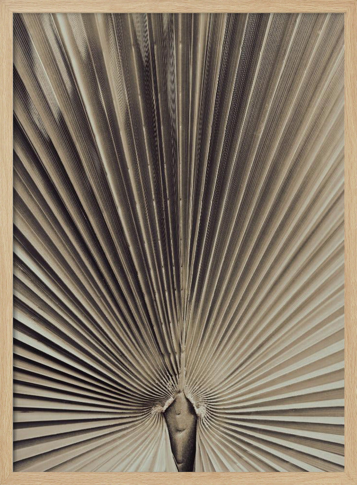 Palmblad_001 | Poster
