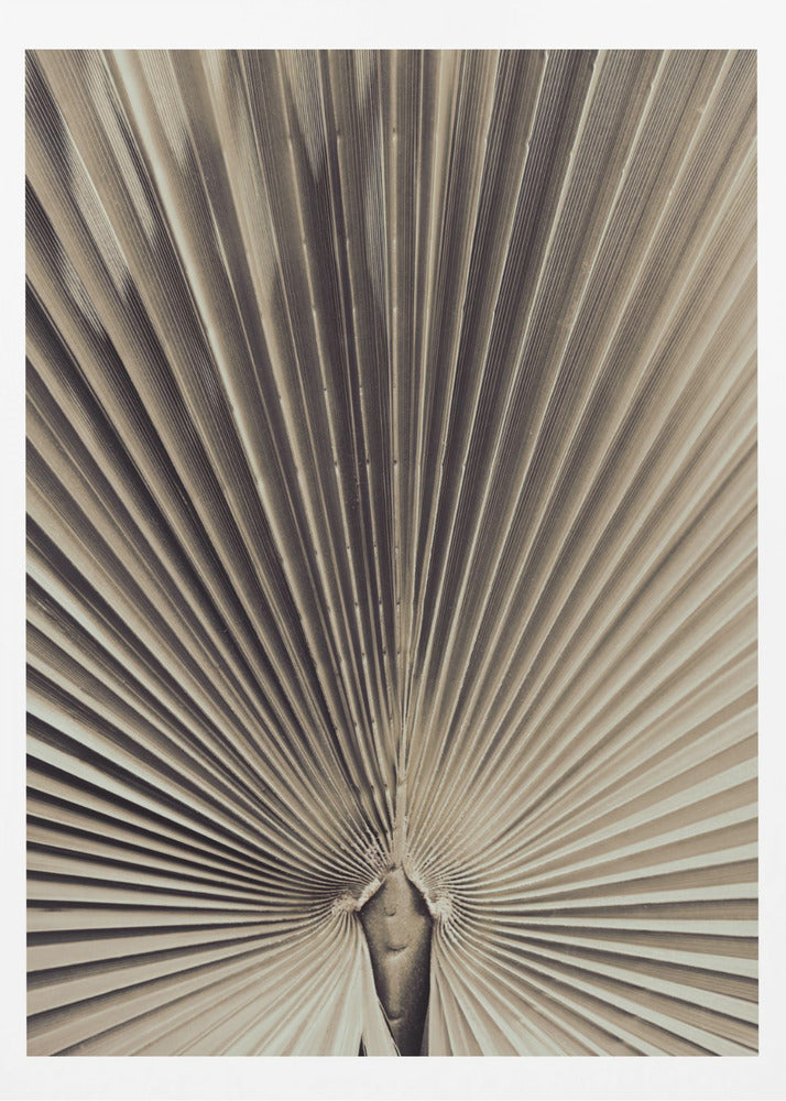 Palmblad_001 | Poster