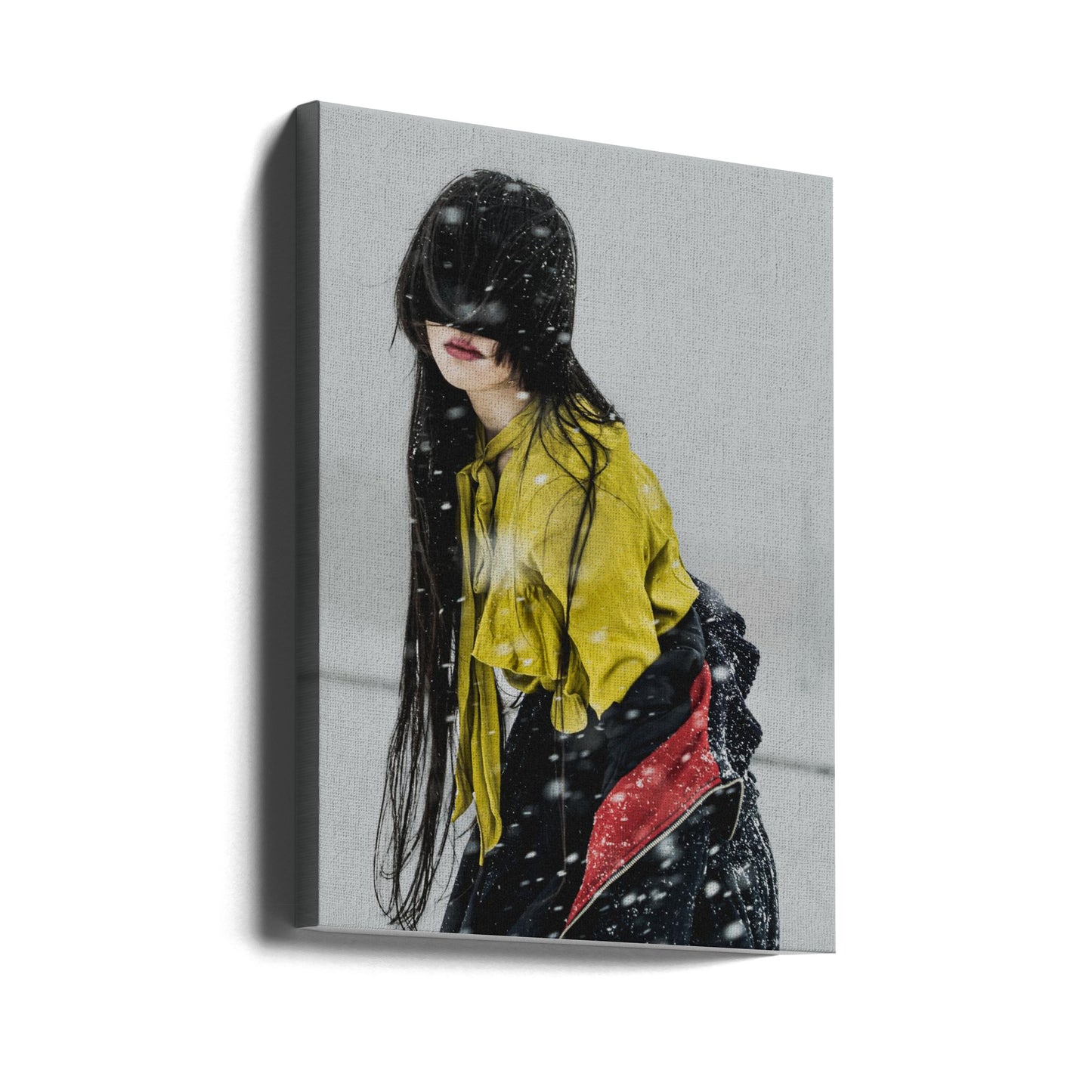 The beginning of snow | Canvas
