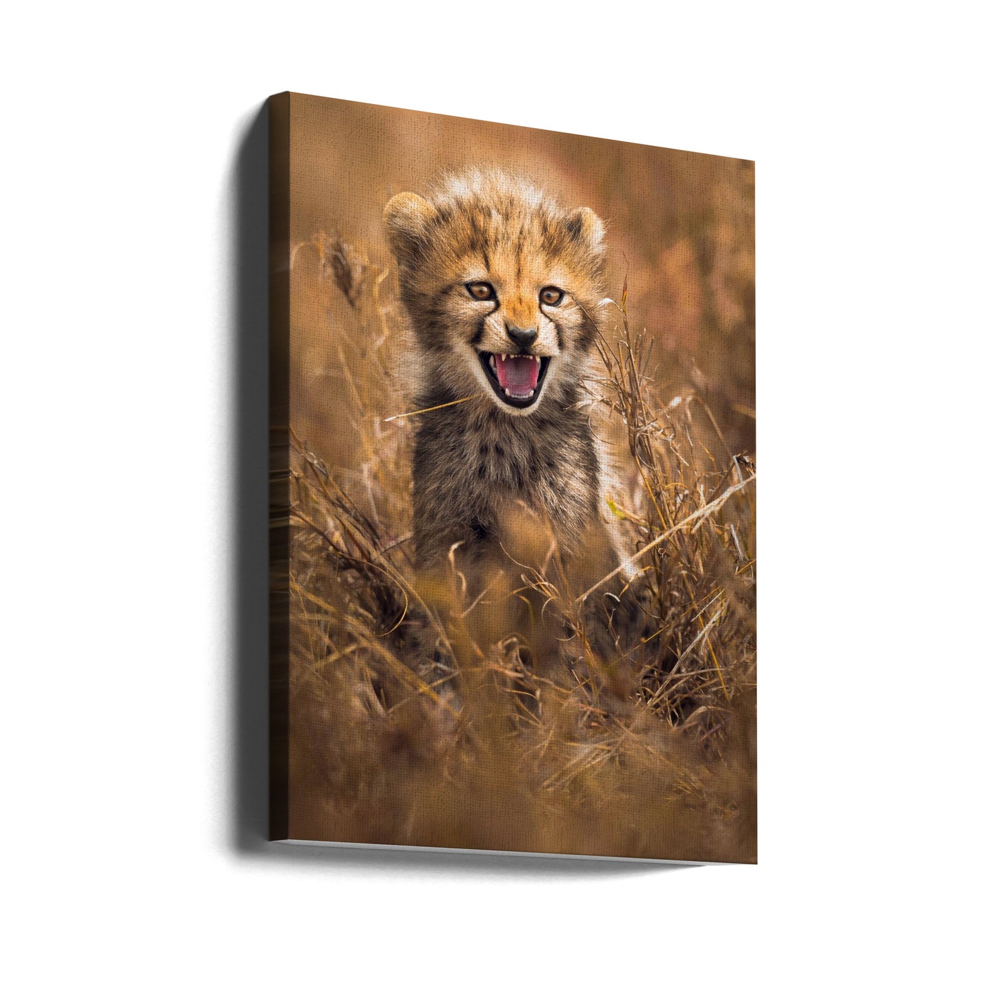 Stort leende | Canvas