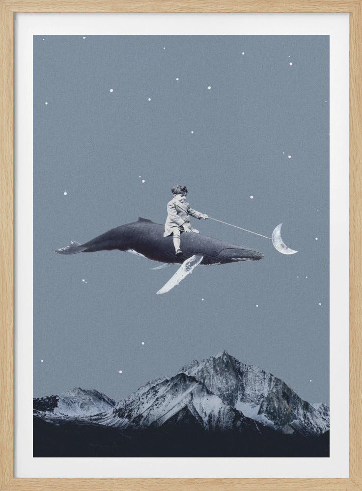 Aim for the moon | Poster