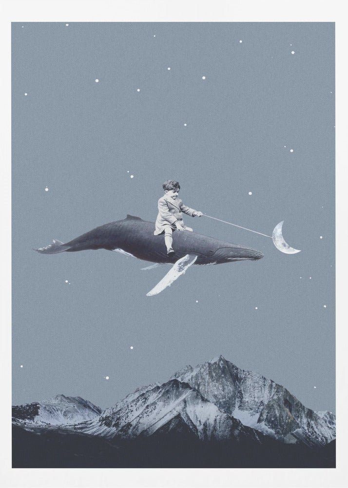 Aim for the moon | Poster