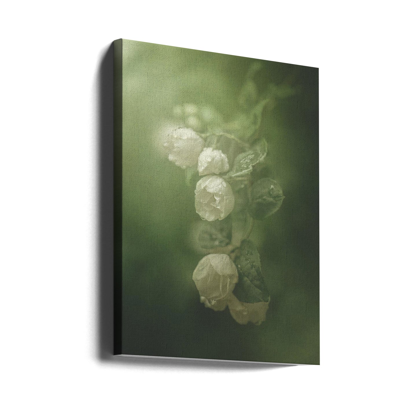 Jasmin | Canvas