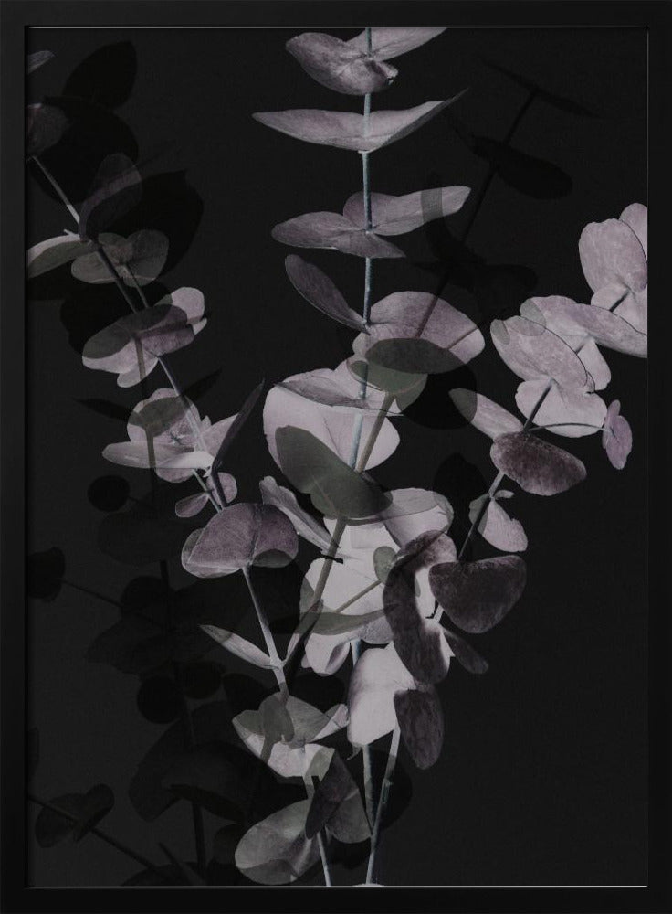 Eucalyptus_Negative_001 | Poster