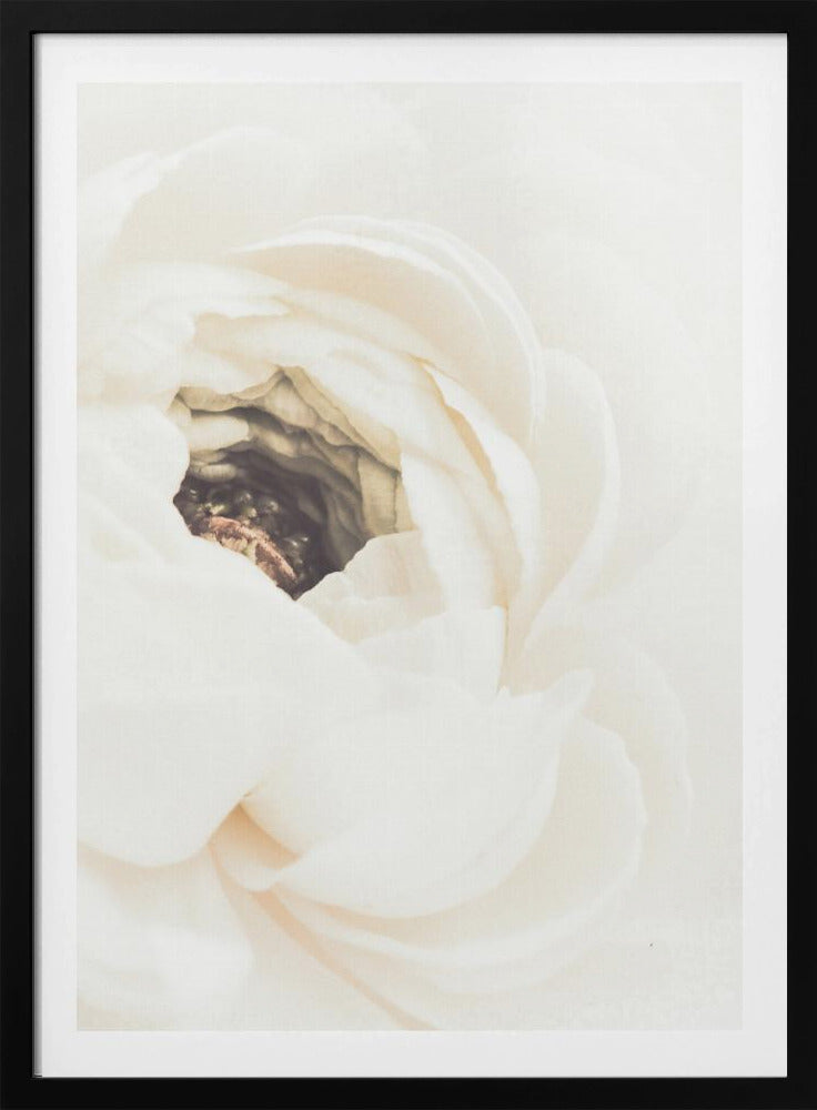 Vit blomma 01 | Poster